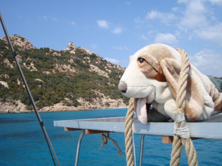 Chien, corde et lion