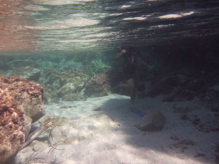 Photo SM 1 (Cala di Porto Vecchio)