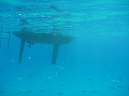 Poissons sous bateau